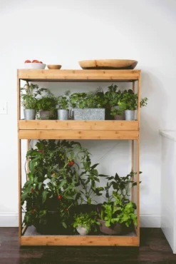 Bamboo Home LED Grow Light Garden -Deals The Garden & Yard Store 8598088 BambooLEDHomeGarden light gif scaled