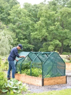 3-Season Plant Protection Tent, 4' X 8' -Deals The Garden & Yard Store 8598282 0101 tif