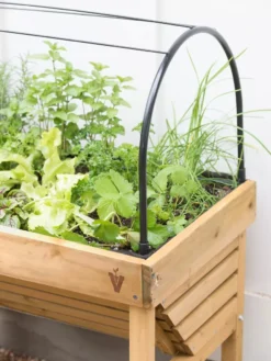 VegTrug® Mini Wallhugger Planter With Cover -Deals The Garden & Yard Store 8598339 4004 tif