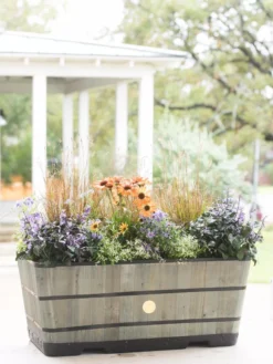 VegTrug™ Trough Planters -Deals The Garden & Yard Store 8598402 08880 tif