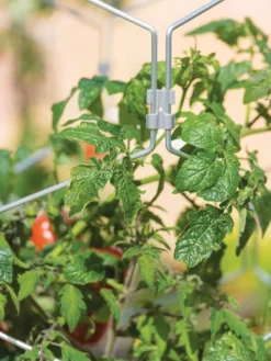 Gardener's Vertex Lifetime Tomato Cage 8 Gardener's Vertex Lifetime Tomato Cage -Deals The Garden & Yard Store 8598426 0011 tif