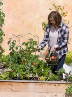 Gardener's Vertex Lifetime Tomato Cage 9 Gardener's Vertex Lifetime Tomato Cage -Deals The Garden & Yard Store 8598426 0026 tif