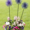 Everbloomin' Alliums, Set Of 3