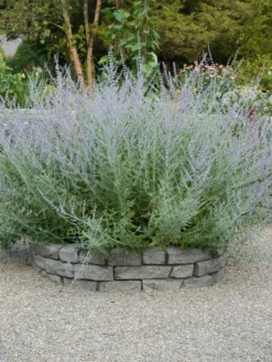 Rock Lock Interlocking Garden System, Curved Sets -Deals The Garden & Yard Store 8598737 04V tif