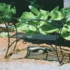 Achla Designs Wrought Iron Arbor Bench With Back