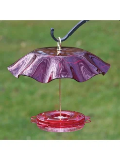 Birds Choice™ Hummingbird Nectar Feeder With Weather Guard Kit -Deals The Garden & Yard Store 8598910 01v