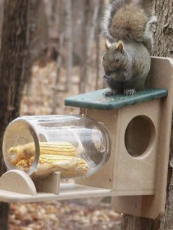 Birds Choice™ Squirrel Jar Feeder