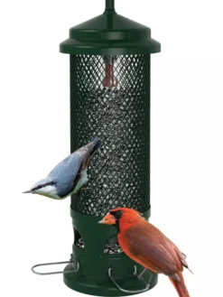 Brome® Squirrel Buster™ Legacy Bird Feeder