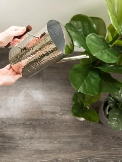 Stainless Steel Watering Can -Deals The Garden & Yard Store 8599057 14322 tif