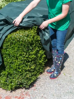 The Planket® Frost Protection Plant Cover, 10' X 20' -Deals The Garden & Yard Store 8599101 0929 tif