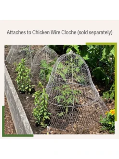 Chicken Wire Cloche Extension -Deals The Garden & Yard Store 8599107 2