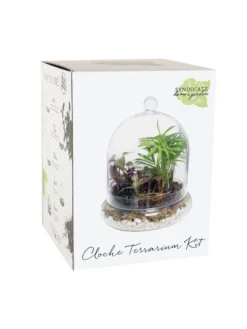 Cloche Terrarium Kit Medium -Deals The Garden & Yard Store 8599148 01v