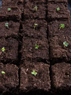 Vermont Compost Company Fort Vee™ Potting Mix, 20 Quarts -Deals The Garden & Yard Store 8599281 5930