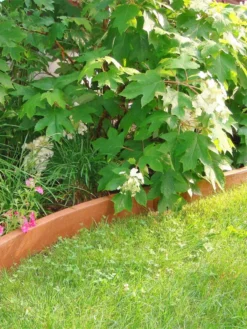 Curved Landscape Edging Kit With 2" Boards -Deals The Garden & Yard Store 8599407 03V tif