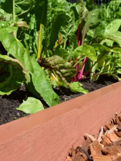 Straight Landscape Edging Kit With 2" Boards -Deals The Garden & Yard Store 8599408 02V tif