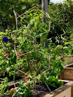 Gardener's Vertex Lifetime Pepper And Eggplant Cage -Deals The Garden & Yard Store 8599554 01CUST tif