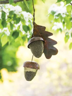 Acorn Bird Feeder -Deals The Garden & Yard Store 8599573 14075 tif