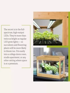 Bamboo Mini LED Grow Light Garden -Deals The Garden & Yard Store 8599624 06