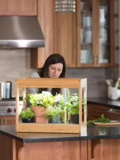 Bamboo Mini LED Grow Light Garden -Deals The Garden & Yard Store 8599624 12532 tif