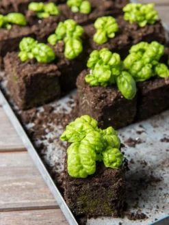 Soil Blocker, 4 Cell 9 Soil Blocker, 4 Cell -Deals The Garden & Yard Store 8599790 1057 tif