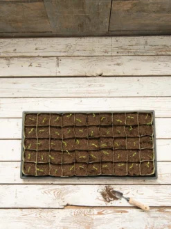 Paper Pots, 50 Cell 10 Paper Pots, 50 Cell -Deals The Garden & Yard Store 8599830 18489 tif