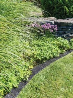 Recycled Rubber Mulch Edging, 12’ X 6” -Deals The Garden & Yard Store 8599854 0897 tif