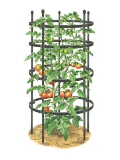 Titan Tomato Cages, Set Of 3 -Deals The Garden & Yard Store 8599861 0001 art tif