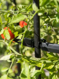 Titan Tomato Cages, Set Of 3 -Deals The Garden & Yard Store 8599861 0079 tif