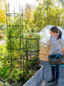 Titan Tomato Cages, Set Of 3 -Deals The Garden & Yard Store 8599861 0114 tif