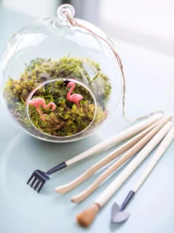 Terrarium Tools, Set Of 4 -Deals The Garden & Yard Store 8599884 01V tif