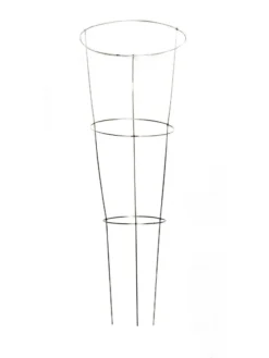 Heavy-Duty Galvanized Plant Supports 42", Set Of 5