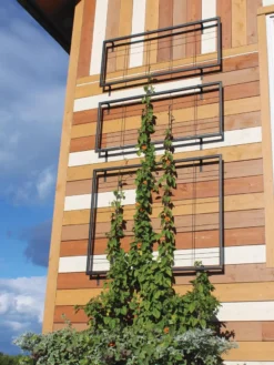 Exeter Wall Trellis 9 Exeter Wall Trellis -Deals The Garden & Yard Store 8600049 7121 tif