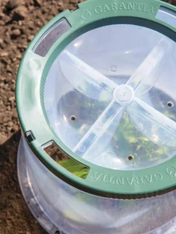 Sunny Forcing Cloches, Set Of 3 9 Sunny Forcing Cloches, Set Of 3 -Deals The Garden & Yard Store 8600075 0742 tif