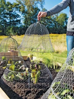 Chicken Wire Cloche With Extension -Deals The Garden & Yard Store 8600116 0604 3 4