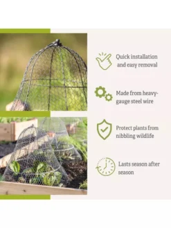 Chicken Wire Cloche With Extension -Deals The Garden & Yard Store 8600116 3