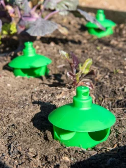 Slug And Snail Traps, Set Of 3 -Deals The Garden & Yard Store 8600120 1788