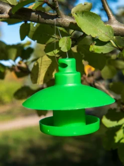 Slug And Snail Traps, Set Of 3 -Deals The Garden & Yard Store 8600120 1792