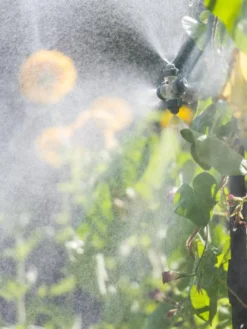 Landscape 4-Way Cooling Mist Kit, 50' -Deals The Garden & Yard Store 8600154 0695 tif