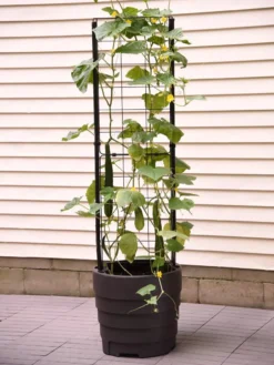Gardener’s Victory Self-Watering Planter With Vine Trellis -Deals The Garden & Yard Store 8600177 9876 tif 1