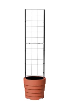 Gardener’s Victory Self-Watering Planter With Vine Trellis -Deals The Garden & Yard Store 8600178 7000 tif