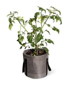 Reinforced Colorful Grow Bags -Deals The Garden & Yard Store 8600229 0944 tif