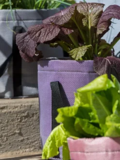 Reinforced Colorful Grow Bags -Deals The Garden & Yard Store 8600230 20013 tif