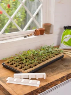 Paper Pots Starter Set -Deals The Garden & Yard Store 8600273 0303 tif