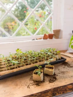 Paper Pots Starter Set -Deals The Garden & Yard Store 8600273 0307 tif