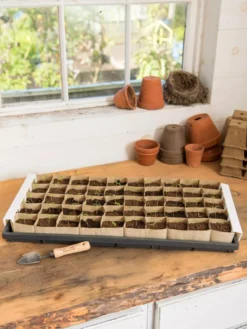 Paper Pots Starter Set -Deals The Garden & Yard Store 8600273 18521 tif