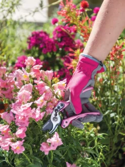 Gardener's Floral Pruning Bypass Shears -Deals The Garden & Yard Store 8600299 19545 tif