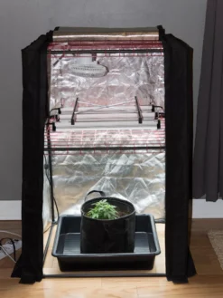 Hemp Grow Kit -Deals The Garden & Yard Store 8600301 0590 tif