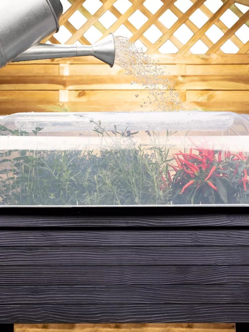 Urban Balcony Elevated Planter Cloche 1 Urban Balcony Elevated Planter Cloche