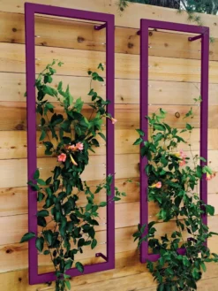 Ina Modern Wall Trellis Sr. 15 Ina Modern Wall Trellis Sr. -Deals The Garden & Yard Store 8600510 02V tif