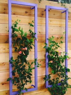 Ina Modern Wall Trellis Sr. 12 Ina Modern Wall Trellis Sr. -Deals The Garden & Yard Store 8600510 07V tif